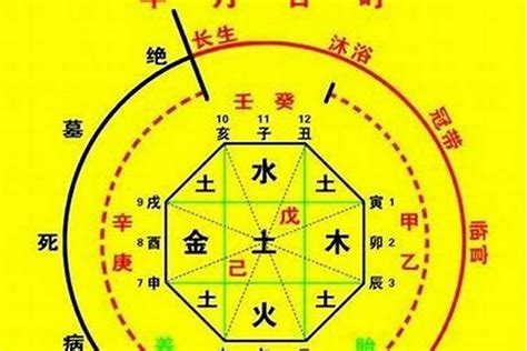 八字算名|生辰八字算命、五行喜用神查詢（免費測算）